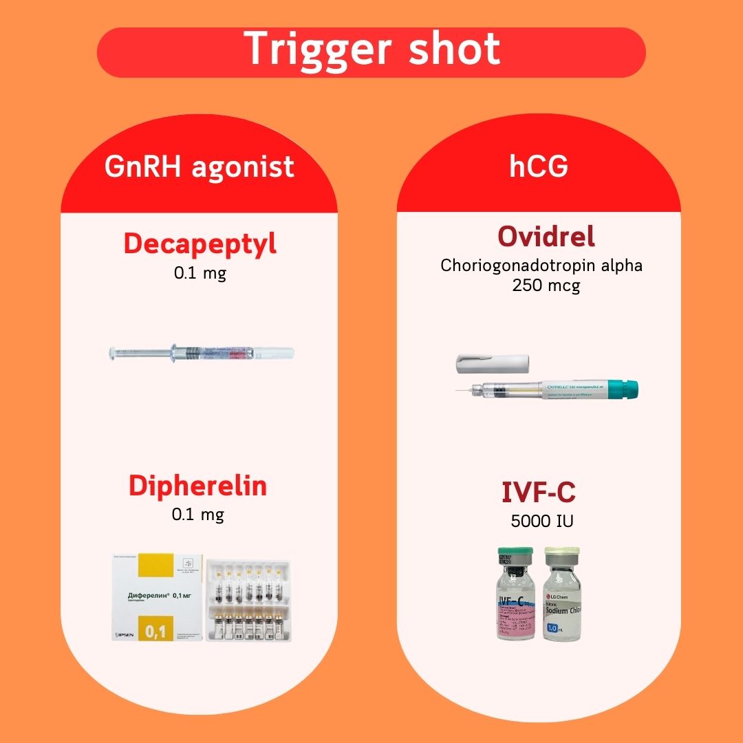 Trigger shots — GnRH agonists (Decapeptyl, Diphereline) และ hCG (Ovidrel, IVF-C)